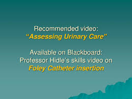 Ppt Urinary Catheterization Powerpoint Presentation Free Download Id 1281345