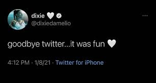 Did dixie damelio just come out as a trump supporter. Dixie D Amelio Says She Didn T Delete Twitter Because She S A Trump Supporter
