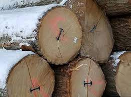 Walnut finger joint board finger joint: Walnut Logs Veneer Saw Grades Porter Lumber