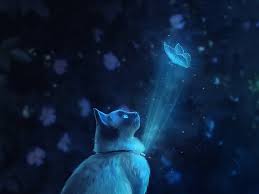 Cat Butterfly Illusion Light Art Background Toppng Butterfly png you can download 36 free butterfly png images. cat butterfly illusion light art