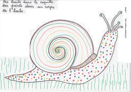 L Escargot Escargot Dessin Escargot Maternelle Escargot