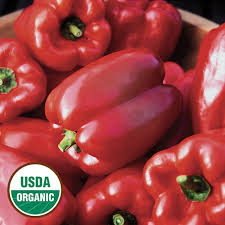 Growing tips from mother earth news. King Of The North Buy Organic Pepper Seed Seed Savers Exchange