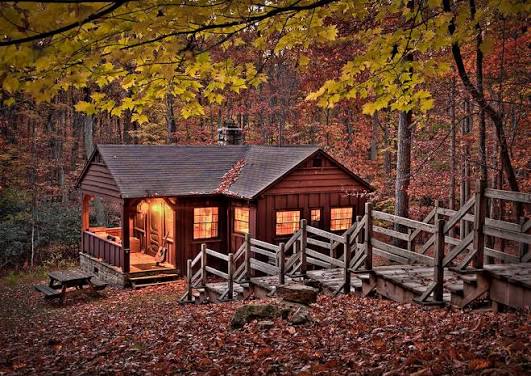 Cabin in the Woods Photograph by T Cairns - Pixels