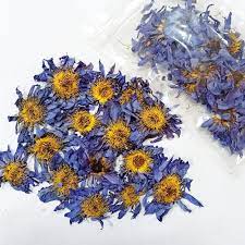 Organic Dried Blue Lotus Whole Flower Nymphaea Caerulea For Etsy Blue Lotus Lotus Plant Blue Lotus Flower