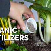 A wide variety of gypsum pellets options are available to you, such as long service life, easy to operate, and high productivity. Espoma Gypsum Can Remedy Lawn Damage Espoma