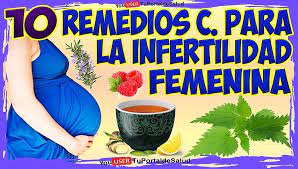 10 Remedios Caseros Para La Infertilidad Femenina Infertilidad Femenina Infertilidad Fertilidad Femenina