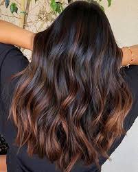 Black is an underrated but versatile hair color that is making a comeback in 2020. 6 Summer Hair Colour Trends To Save To Your Camera Roll For 2019 Brunette Hair Color Subtle Balayage Brunette Balayage Brunette