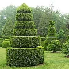 Wealth Abundance Topiary Garden Topiary Topiary Trees