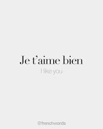 Je T Aime Bien I Like You ʒə Tɛm Bjɛ French Words Quotes French Love Quotes French Words
