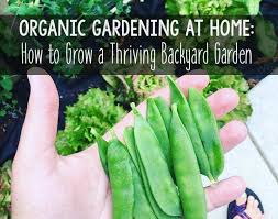 You should know the fact that gardening 101 is an art that requires a lot of patience for successful results. Organic Gardening How To Grow A Thriving Backyard Garden