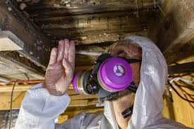 .heed your advice and probably consider my own chemical termite control. How Often Should I Get My Home Inspected For Termites In Atlanta Ga