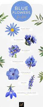 Maybe you would like to learn more about one of these? 30 Types Of Blue Flowers Ftd Com