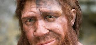 Business Intelligence and Digital Natives