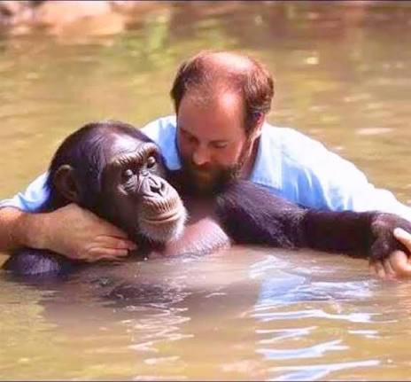 Rick, a truck driver, saw a chimp drowning in an enclosure. People warned  him — chimps are powerful and unpredictable. But he didn't wait. He jumped  in, fought through the water, and