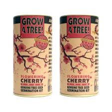 Starting a seed is difficult. 2pk Flowering Cherry Blossom Seed Grow Kit The Jonsteen Company Target