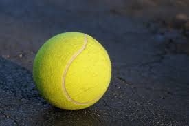 Wilson us open regular duty 4 pack tennis balls $17.99. Tennis Ball Pictures Download Free Images On Unsplash