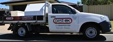 Create an account track orders, check out faster, and create lists Pest Ex Brisbane Termite Control Treatment Services Homeimprovement2day