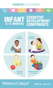 Infant Cognitive Development Chart Cognitive Development Parenting Skills Baby Development