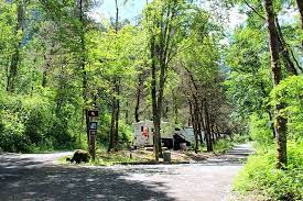 Camp & rv the number one camping app. 9 Top Rated Campgrounds Near Hood River Oregon Planetware