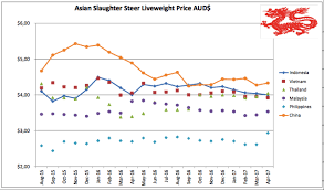 Se Asia Report Downward Pressure On Northern Cattle Prices
