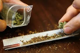 Denn außer den niederlanden wäre deutschland dann eine gute anlaufstelle, um sich legal cannabis zu beschaffen. Seven Things To Know About Weed In Germany The Local