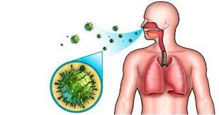 La infección respiratoria, o de las vías aéreas, es una infección que surge en cualquier región del tracto respiratorio, alcanzando desde las vías estas infecciones son más comunes en el invierno, ya que es el período en el que hay mayor circulación de microorganismos, ya que la temperatura. 4 Enfermedades Que Afectan El Sistema Respiratorio Canarias Noticias