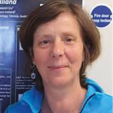 Agrobacterium-mediated gene delivery and transient expression in the red  macroalga Chondrus crispus