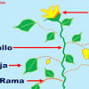 All images and logos are crafted with great workmanship. 1