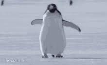 The best gifs are on giphy. Penguin Walk Gifs Tenor