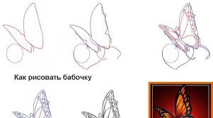 Cara menggambar kupu kupu how to draw butterfly youtube via www.youtube.com. Cara Menggambar Kupu Kupu Selangkah Demi Selangkah Dengan Pensil Kelas Master Cara Menghias Kupu Kupu Dengan Pensil Warna