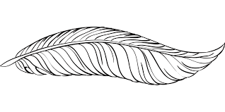 Bird Feather Clipart Black And White Free Image On Pixabay Pen Feathers Bird Animal Feather Bird Animals Beautiful
