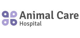 Carenet has 1 job listed on their profile. Animal Care Hospital Veterinarian In Milwaukee Wi Us