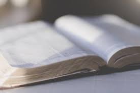 Estudo Do Evangelho De Joao 3 Jc Na Veia