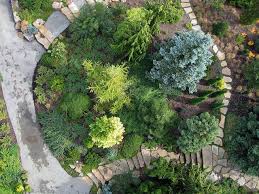 Dwarf Conifer Garden Conifers Garden Garden Design Garden Front Of House