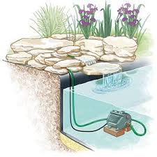 Comment Installer Un Ruisseau Ou Une Cascade Au Bassin Bassin De Jardin Jardin D Eau Et Fontaine De Jardin