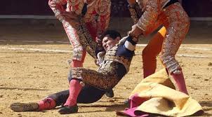 El torero 'Joselillo' sufre una grave cornada en la Feria del Pilar. – DE  SOL Y SOMBRA