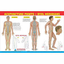 Amazon In Buy Acupuncture Point Byol Meridian Chart 11
