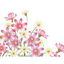 Spring 2015 2 2 Preobrazovannyj Png Liked On Polyvore Featuring Flowers Floral Corner Borders And Pi Cherry Blossom Wall Art Flower Art Flower Clipart