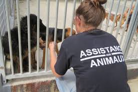 Comment rendre mon animal heureux ? A Chelles Elle Vivait Avec Trente Chiens Dans 30 M La Marne