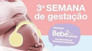 3ª Semana Da Gestacao Momento Da Fecundacao Bebe Youtube