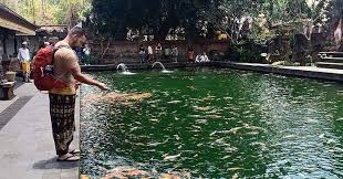 We did not find results for: 16 Ide Kolam Ikan Minimalis Lengkap Dengan Foto Ikanesia Id