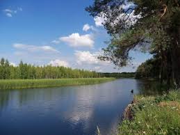 See full list on labuda.blog Vorskla Chitajte Na Satcher Fish