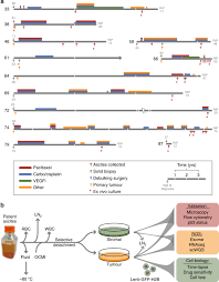 For ovarian cancer awareness month, dr alison wint looks at why awareness and being involved in healthcare decisions is important. A Living Biobank Of Ovarian Cancer Ex Vivo Models Reveals Profound Mitotic Heterogeneity Nature Communications