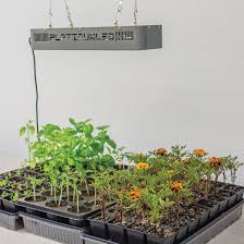 How to grow garden seeds. Starting Garden Plants From Seed Brings Satisfaction Saves Money