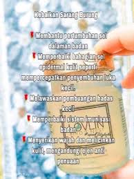 Kami menemukan sarang burung ini di sebuah pohon pinggir momen seru mengintif 20 sarang burung pentet sekaligus terimakasih banyak untuk para sahabat. Lovlin Birds Nest Sarang Burung Shopee Malaysia