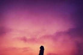 Find & download free graphic resources for sunset clouds. Page 2 Pink Sunset Sky Hd Wallpapers Free Download Wallpaperbetter