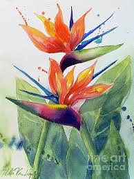 Bird Of Paradise Painting Bird Of Paradise By Hilda Vandergriff In 2020 Paradise Painting Flower Painting Birds Of Paradise