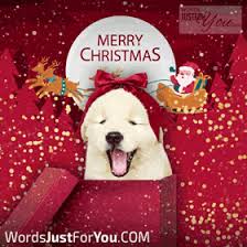 Cute Merry Christmas Gif 5589 Best Christmas Gifs For Download Share the best gifs now >>>.