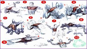 chest workout chart hd images sport1stfuture org