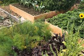 We did not find results for: What Size Is Best For A Vegetable Garden Insteading